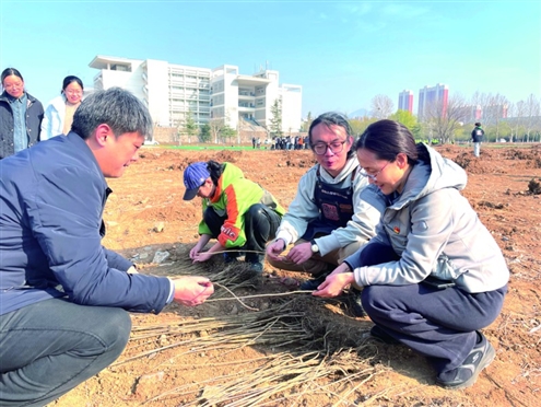 王国强和山东电子职业技术学院的老师们在分漆树树苗